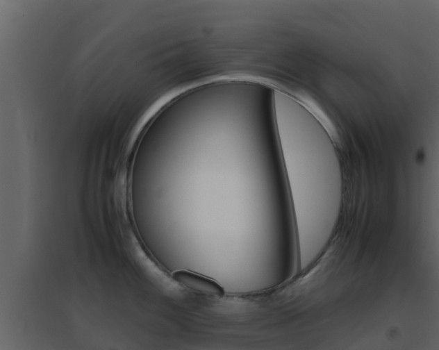 X0000096701100200802051055