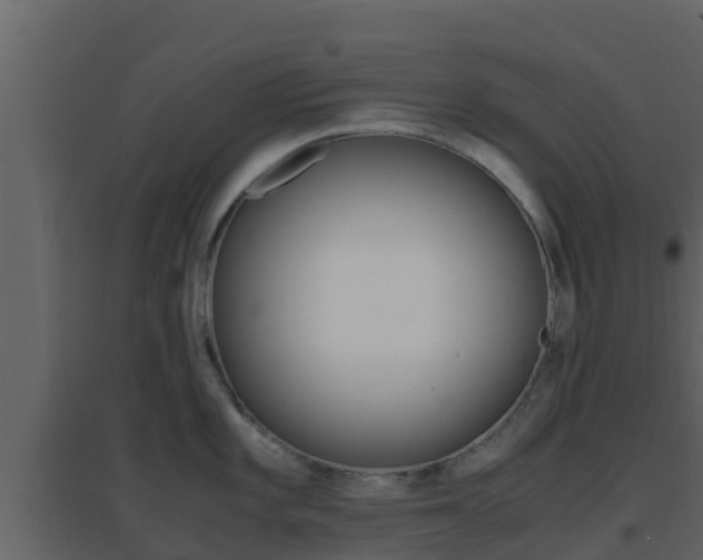 X0000096701101200802051055