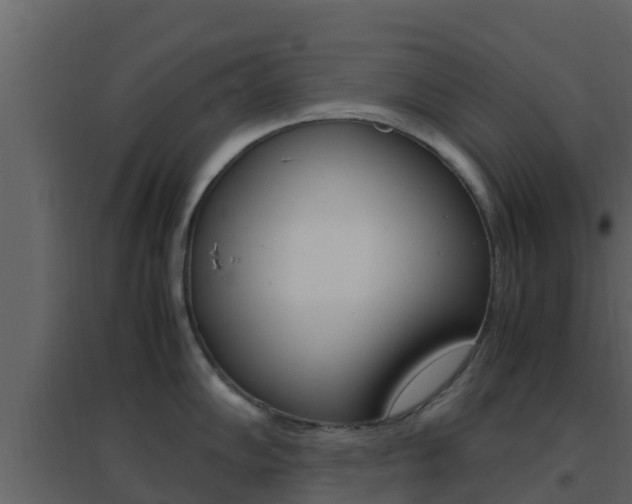 X0000096701102200802051055