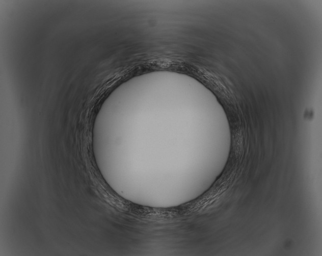 X0000096701105200802051055