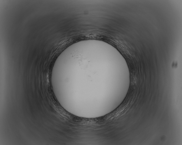 X0000096701106200802051055