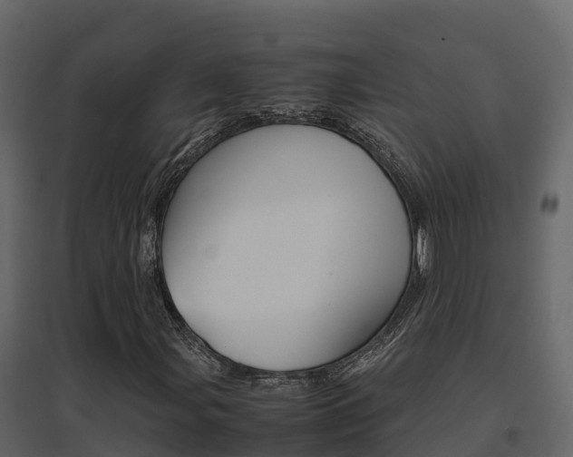 X0000096701107200802051055