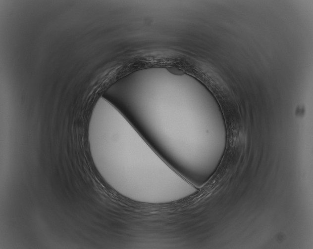 X0000096701108200802051055