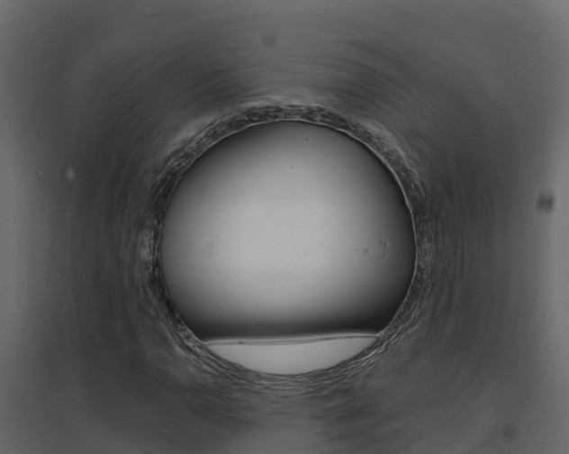 X0000096701110200802051055