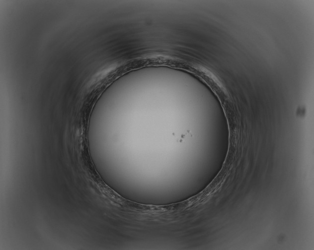X0000096701111200802051055