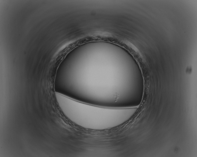 X0000096701112200802051055