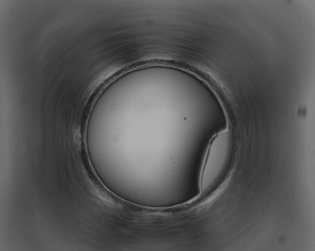 X0000096701113200802051055