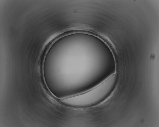 X0000096701114200802051055
