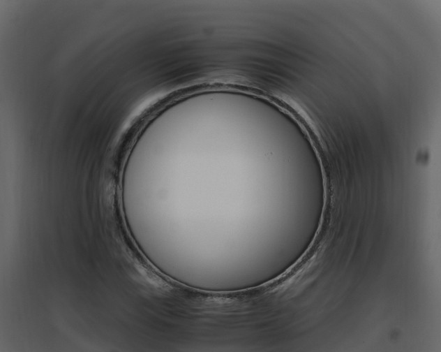 X0000096701115200802051055