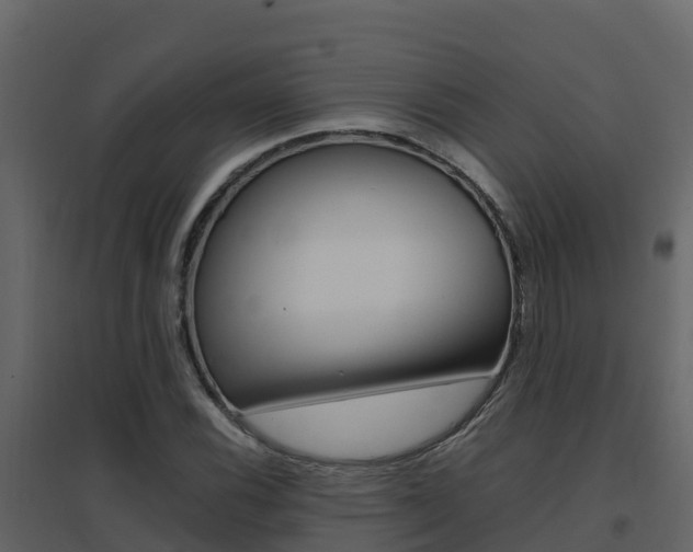 X0000096701116200802051055