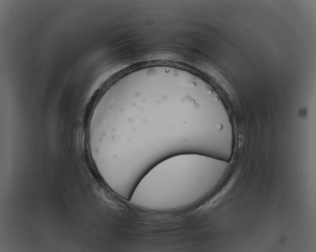 X0000096701117200802051055