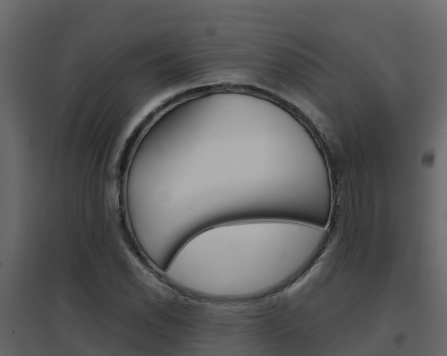 X0000096701118200802051055