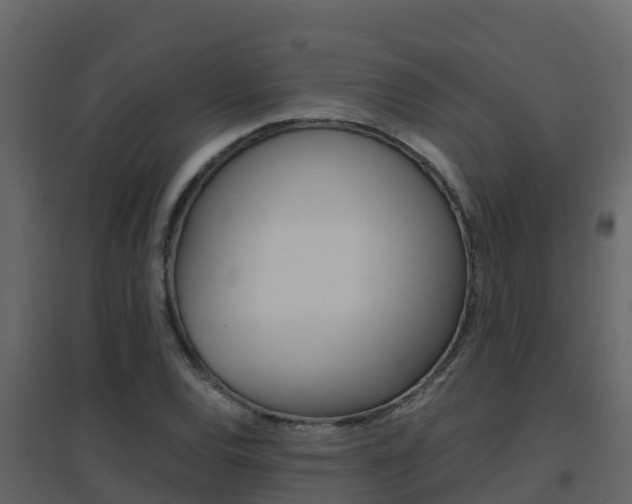 X0000096701120200802051055
