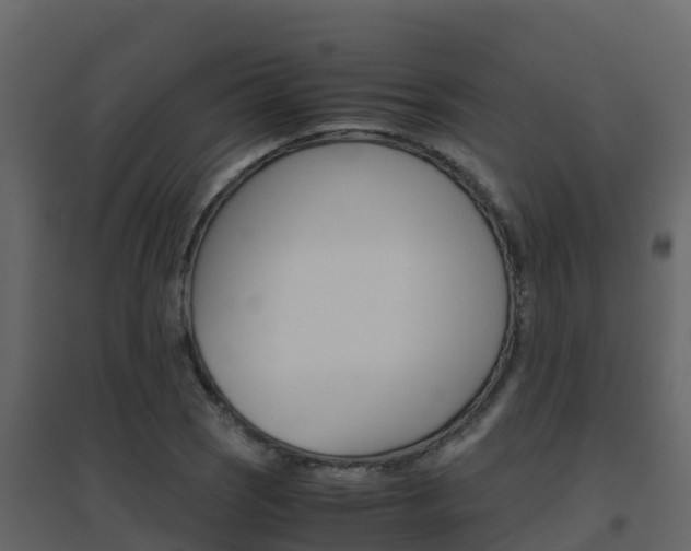 X0000096701121200802051055