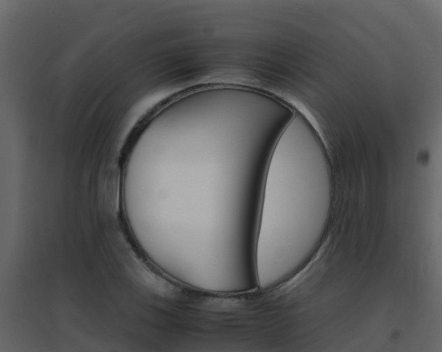 X0000096701123200802051055