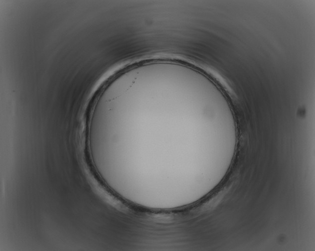 X0000096701126200802051055
