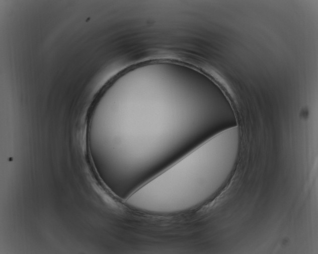 X0000096701127200802051055