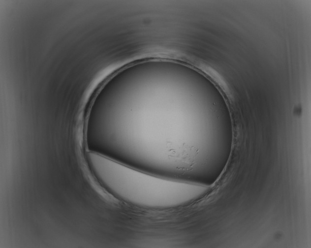 X0000096701128200802051055
