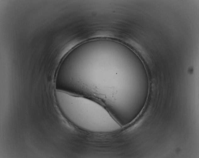 X0000096701129200802051055