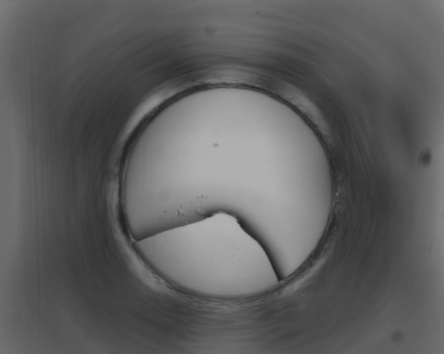 X0000096701130200802051055