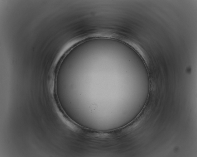 X0000096701131200802051055