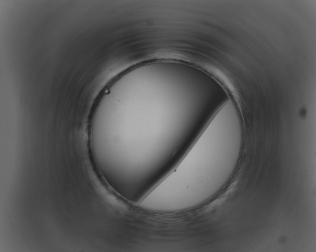 X0000096701133200802051055