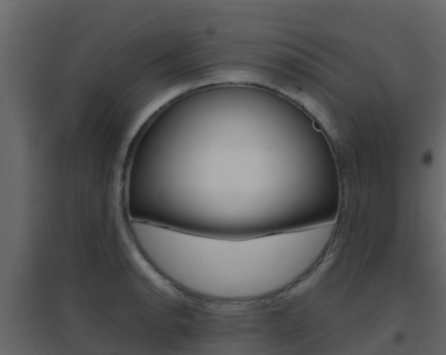 X0000096701134200802051055