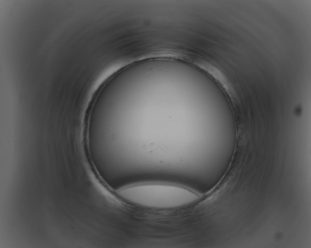 X0000096701135200802051055