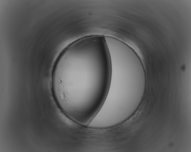 X0000096701136200802051055