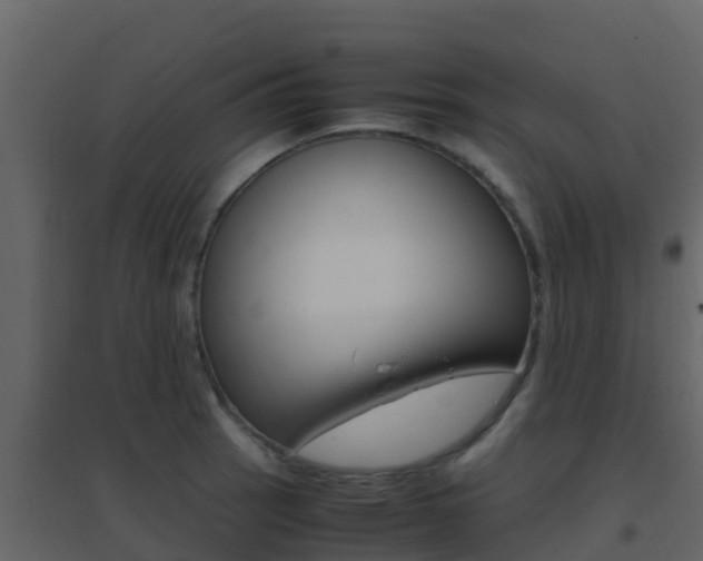 X0000096701137200802051055