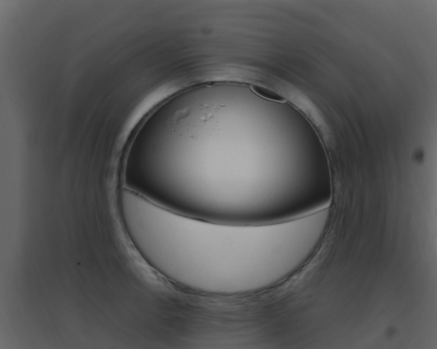 X0000096701138200802051055
