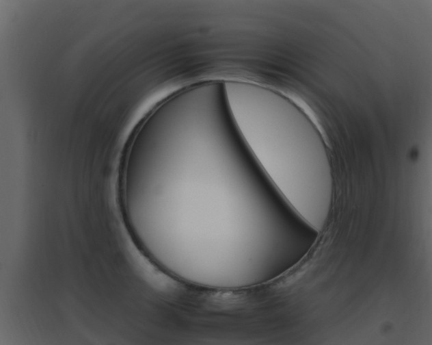 X0000096701139200802051055