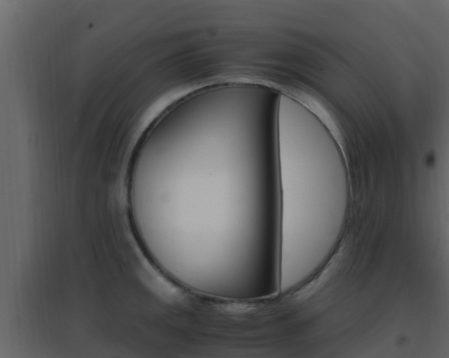 X0000096701141200802051055