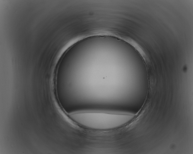 X0000096701142200802051055