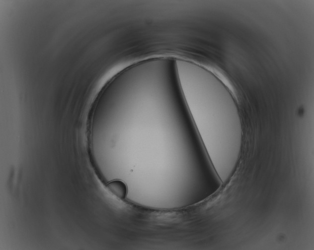 X0000096701143200802051055