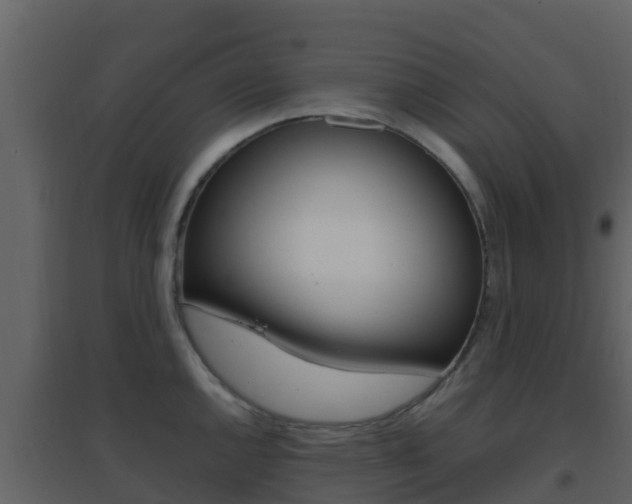 X0000096701144200802051055