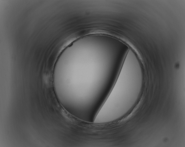 X0000096701145200802051055