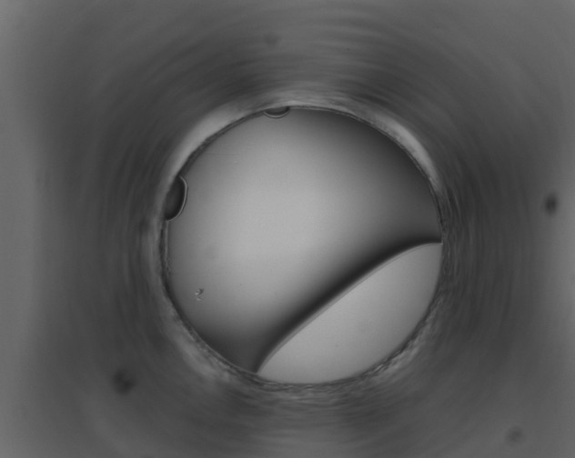 X0000096701146200802051055
