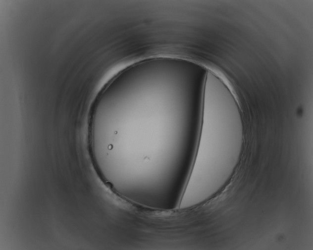 X0000096701147200802051055
