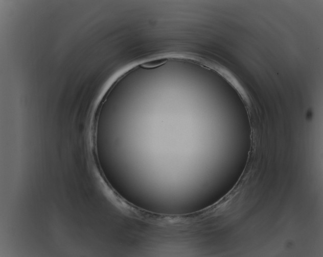 X0000096701148200802051055
