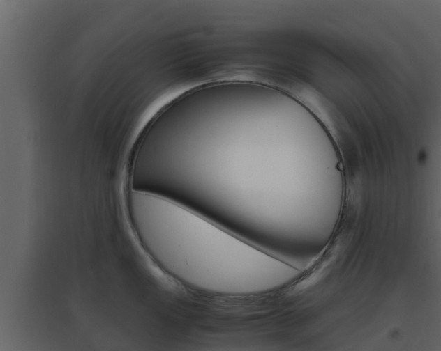 X0000096701149200802051055