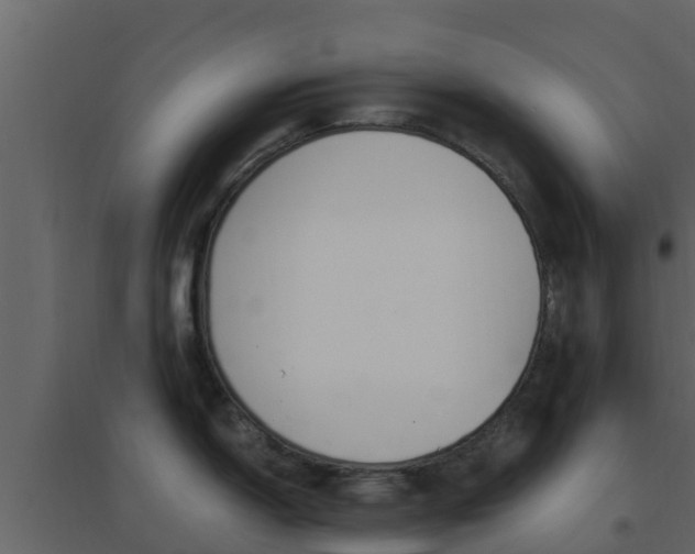 X0000096701150200802051055