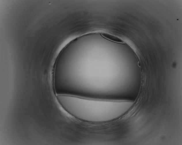 X0000096701151200802051055