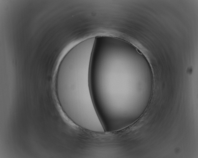 X0000096701152200802051055