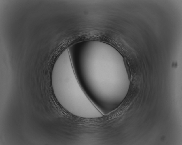 X0000096701153200802051055