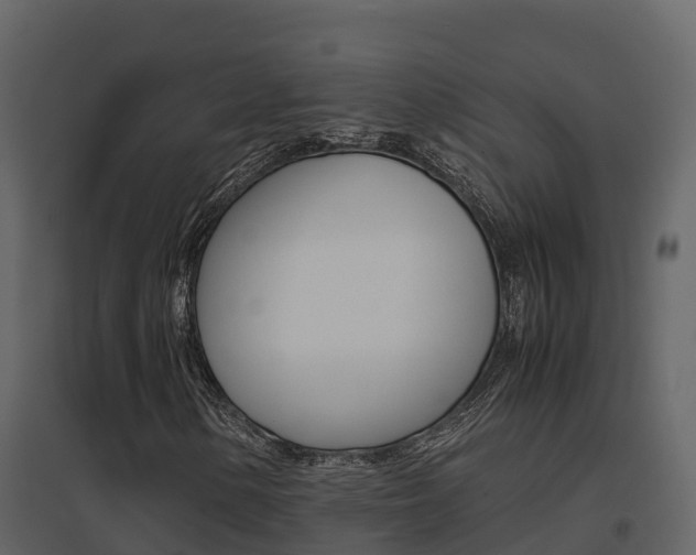 X0000096701154200802051055