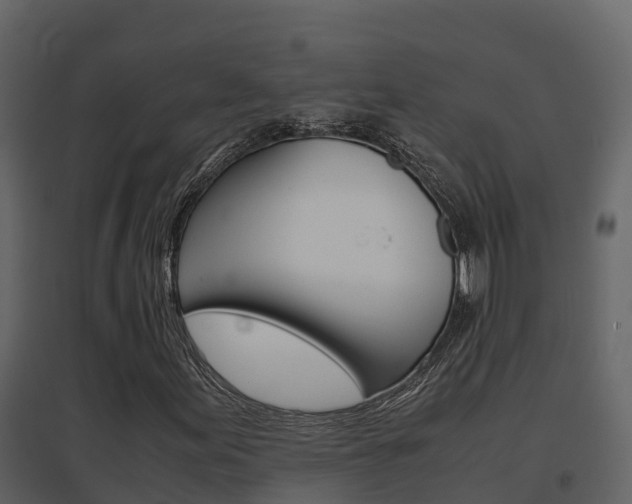X0000096701155200802051055