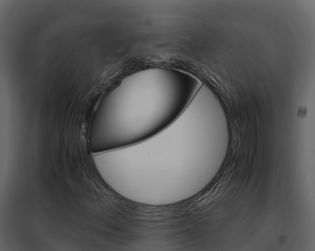 X0000096701156200802051055