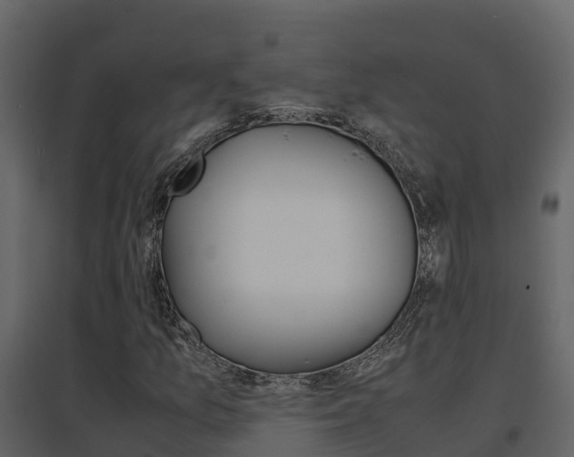 X0000096701157200802051055