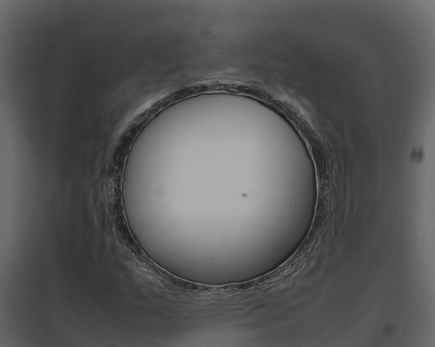 X0000096701159200802051055